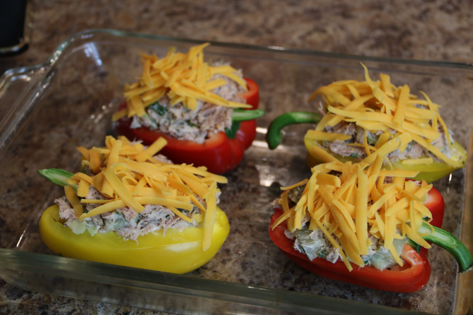 Low Carb Tuna Melt Move Daily