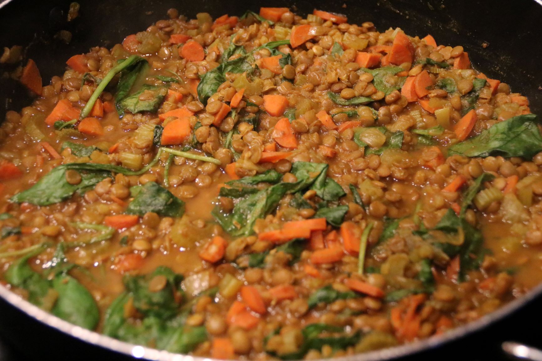 Vegetarian Stewed Curried Lentils - Move Daily